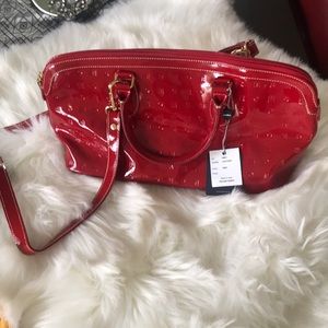 Arcadia handbag